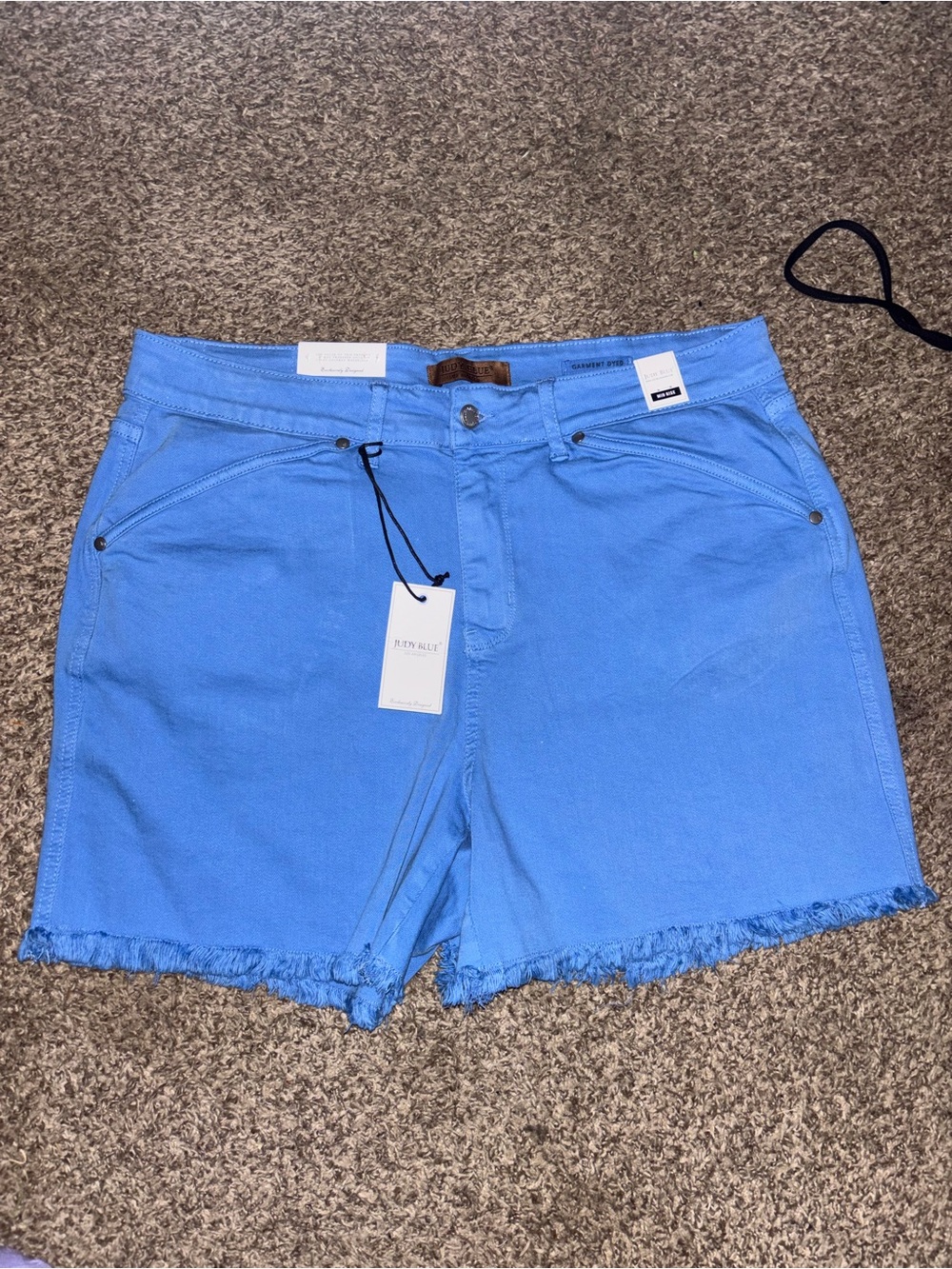 Judy Blue Bright Blue Frayed Hem Denim Shorts